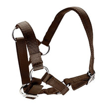 Bainbridge Alpaca Halter - Brown