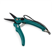 Bainbridge Burgon & Ball Compact Hoof Shears - Plain
