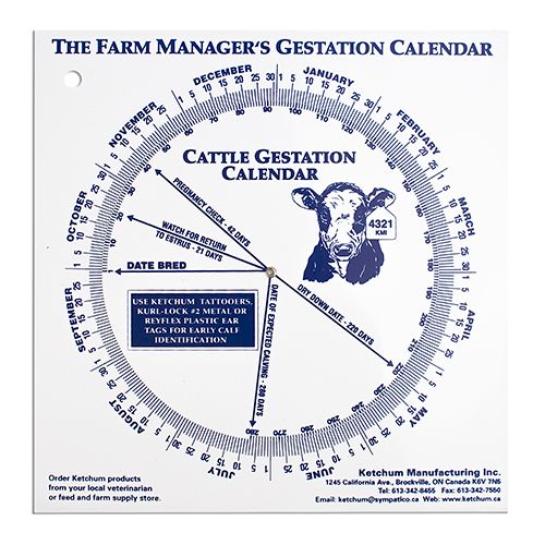 Bainbridge Lamb Gestation Calendar