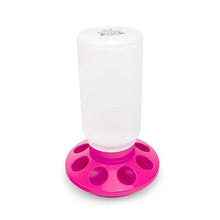 Bainbridge Poultry Feeder 1kg - Pink