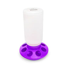 Bainbridge Poultry Feeder 1kg - Purple