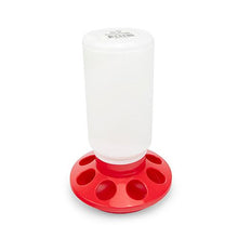 Bainbridge Poultry Feeder 1kg - Red