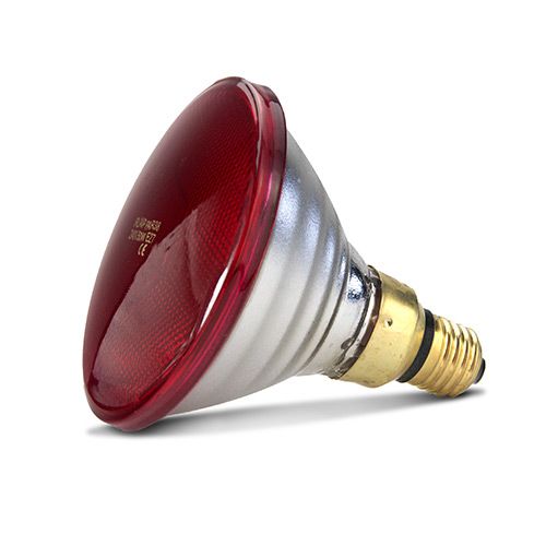 Red Heat Lamp 50W