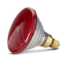 Red Heat Lamp 100W