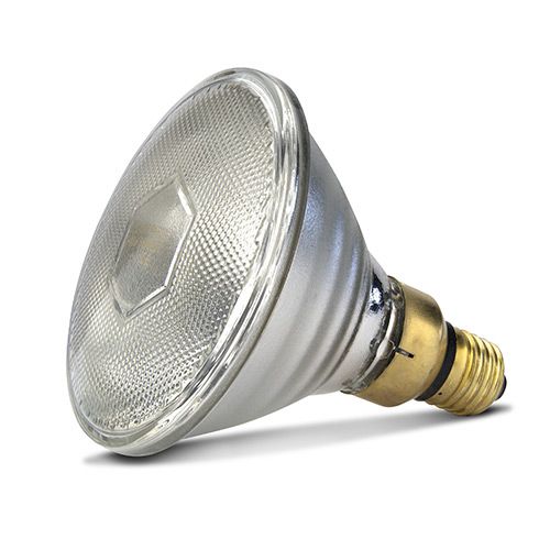 Clear Heat Lamp 50W