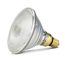 Clear Heat Lamp 100W