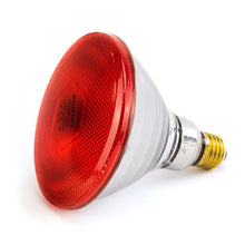Philips Infrared Light Bulb 175W