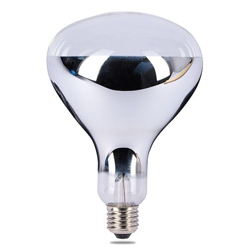 Clear Infrared Spot Globe 50W