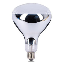 Clear Infrared Spot Globe 75W