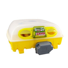 Egg Tech Antibacterial Incubator 49 Egg
