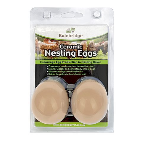 Bainbridge Ceramic Poultry Nesting Eggs 2 Pack
