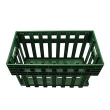 Bainbridge Egg Transport Box Large