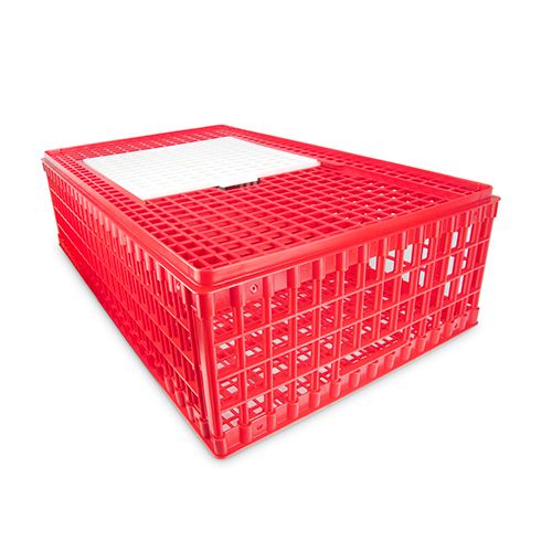 Bainbridge Poultry Transport Crate Single Door