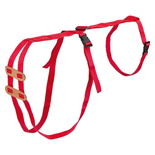 Bainbridge Sheep Prolapse Harness
