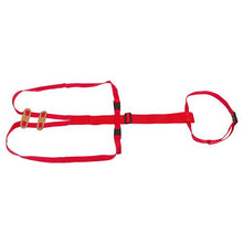 Bainbridge Sheep Prolapse Harness fitted