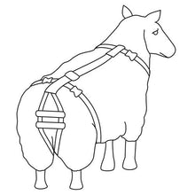 Bainbridge Sheep Prolapse Harness detail