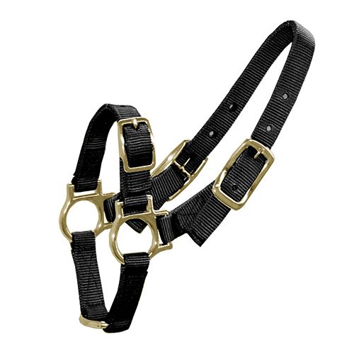 Bainbridge Sheep and Goat Halter - Black