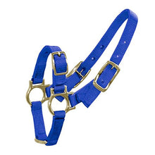 Bainbridge Sheep and Goat Halter - Blue