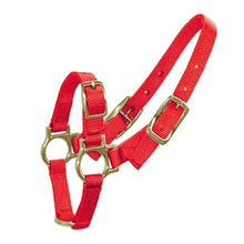 Bainbridge Sheep and Goat Halter - Red