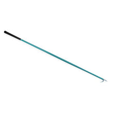 Bainbridge Aluminium Show Stick 47 (117cm) Teal