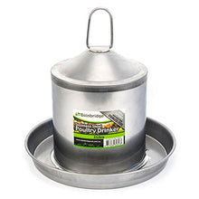 Stainless Steel Poultry Drinker