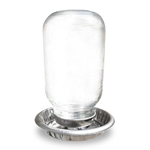Bainbridge Stainless Steel Chick Drinker with Glass Mason Jar 1L