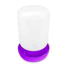 POULTRY CHICK DRINKER STRAIGHT 4.5L - PURPLE