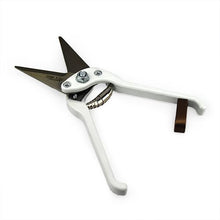Bainbridge Burgon & Ball Superior Hoof Shears - Plain