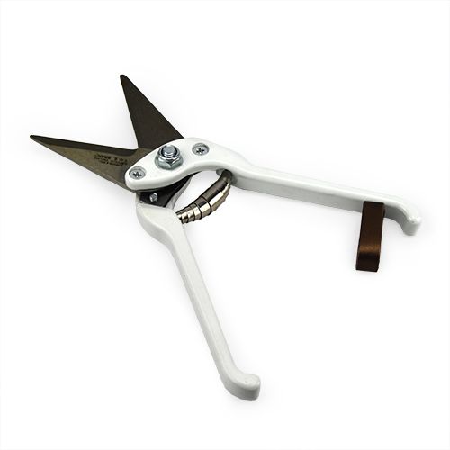 Bainbridge Burgon & Ball Superior Hoof Shears - Plain