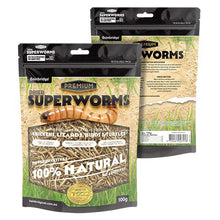 Bainbridge Dried Superworms