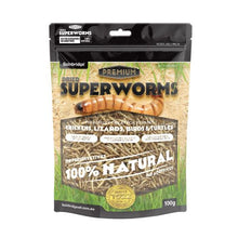 Bainbridge Dried Superworms