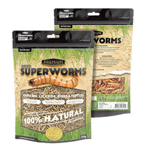Bainbridge Dried Superworms
