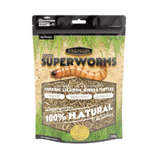 Bainbridge Dried Superworms