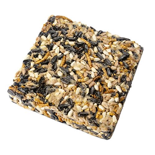 Bainbridge Treat Block Mealworms and Seeds