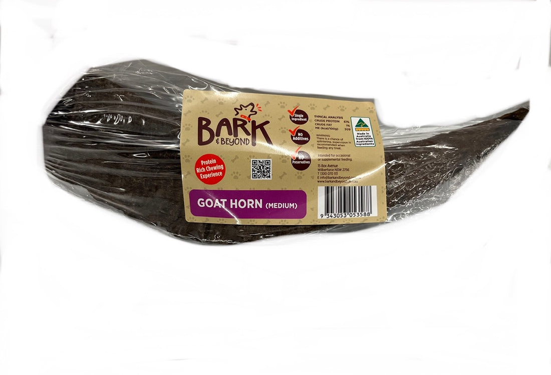 Bark & Beyond Goat Horn Medium 20–25cm