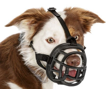 Dog wearing a Baskerville Ultra Muzzle