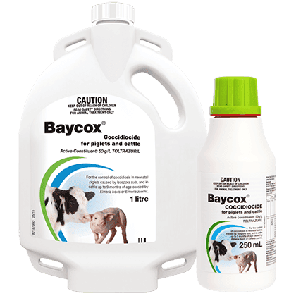 Baycox Coccidiocide for Piglets and Cattle 250mL