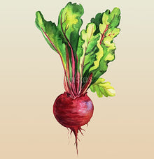 Beetroot Detroit - Eden Seeds
