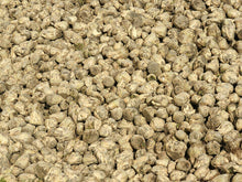 Sugar beet roots representative of Eden Seeds Sugarbeet. Photo: Hans Hillewaert / Biopics, Wikimedia Commons, CC BY-SA 3.0.