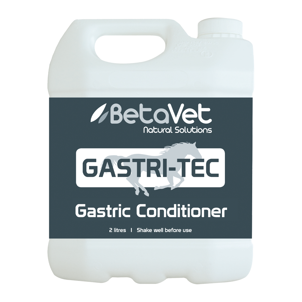 BetaVet GASTRI-TEC 2L gastric conditioner for horses