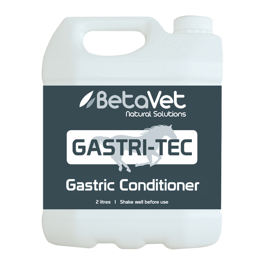 BetaVet GASTRI-TEC 2L gastric conditioner for horses