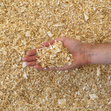 Hand holding Bettergrow dust-free pine shavings