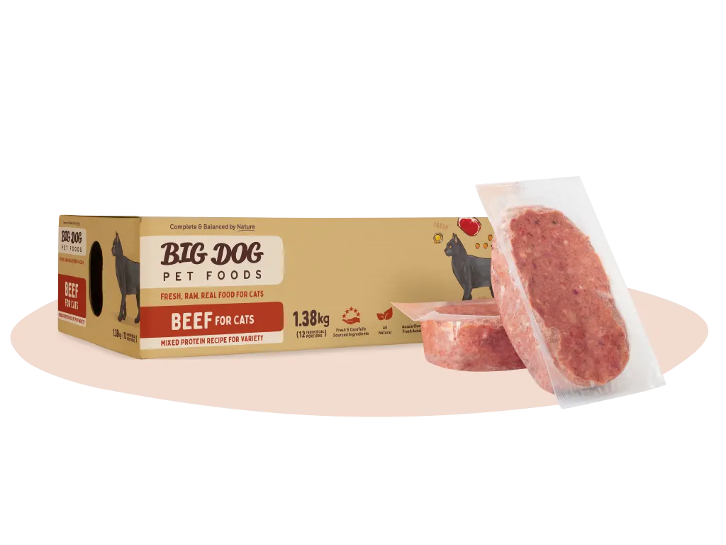 Big Dog Beef Raw Cat Food 1.38kg