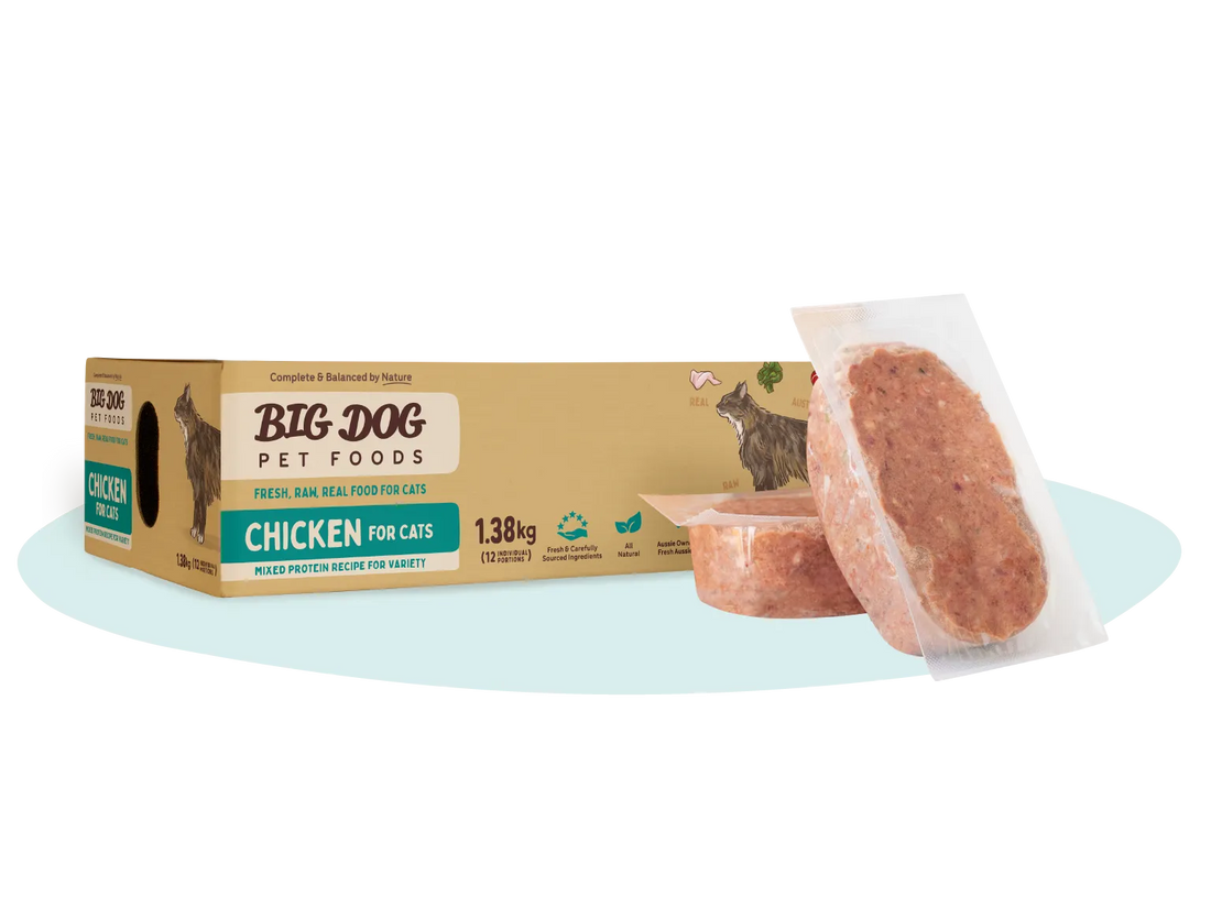 Big Dog Chicken Raw Cat Food 1.38kg