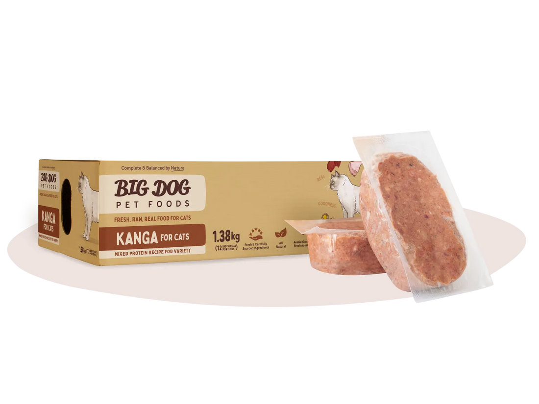 Big Dog Kangaroo Raw Cat Food 1.38kg