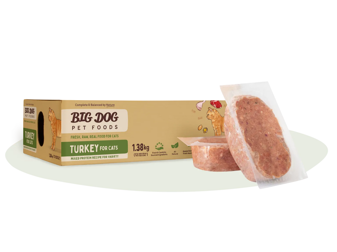 Big Dog Turkey Raw Cat Food 1.38kg