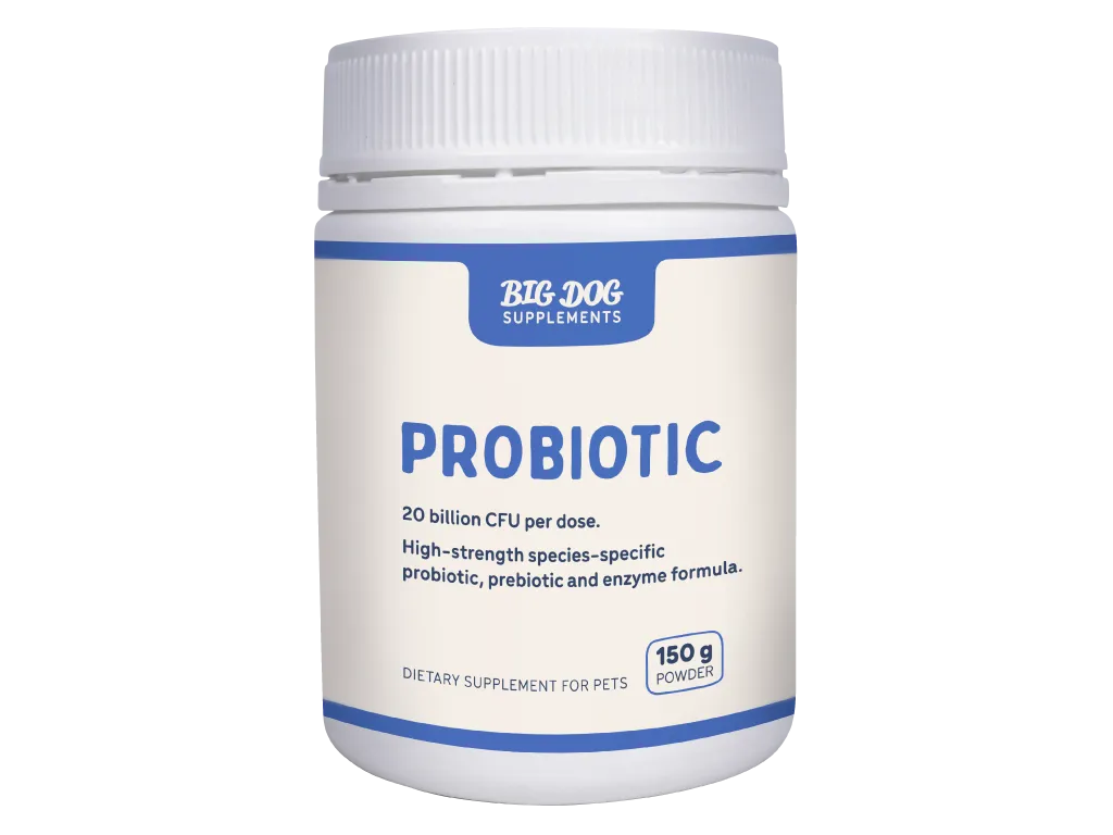 Big Dog Natural Probiotics for Pets 150g