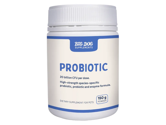 Big Dog Natural Probiotics for Pets 150g