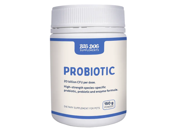 Big Dog Natural Probiotics for Pets 150g