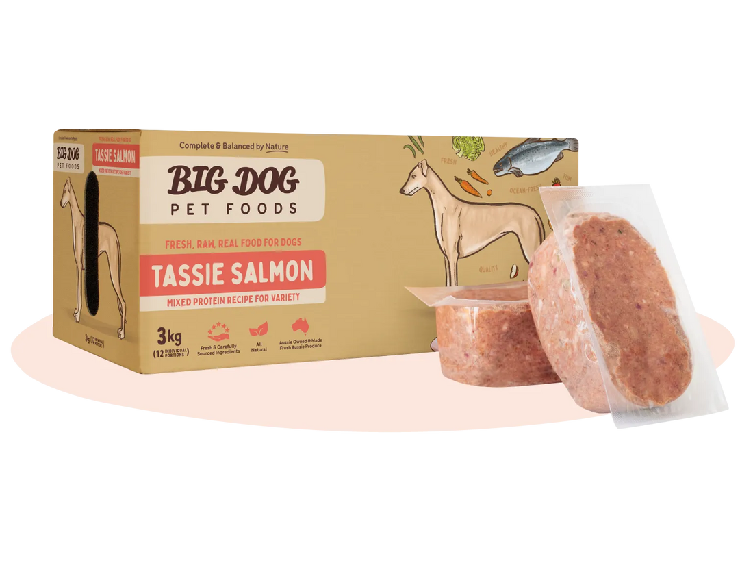 Big Dog Tasmanian Salmon Raw Dog Food 3kg